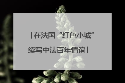 在法国“红色小城”续写中法百年情谊