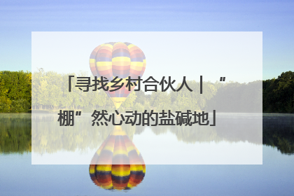 寻找乡村合伙人｜“棚”然心动的盐碱地