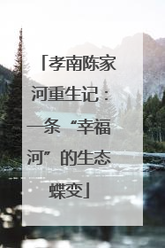 孝南陈家河重生记：一条“幸福河”的生态蝶变