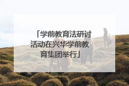 学前教育法研讨活动在兴华学前教育集团举行