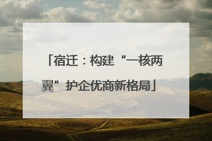 宿迁：构建“一核两翼”护企优商新格局