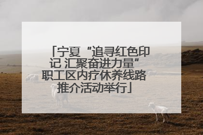 宁夏“追寻红色印记 汇聚奋进力量”职工区内疗休养线路推介活动举行