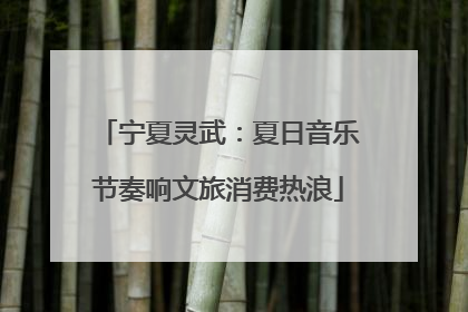 宁夏灵武：夏日音乐节奏响文旅消费热浪