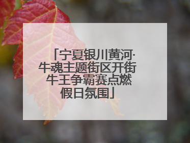 宁夏银川黄河·牛魂主题街区开街 牛王争霸赛点燃假日氛围