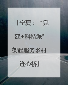 宁夏：“党建+科特派”架起服务乡村连心桥