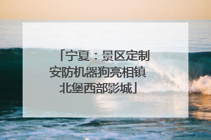 宁夏：景区定制安防机器狗亮相镇北堡西部影城