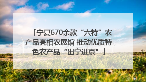 宁夏670余款“六特”农产品亮相农展馆 推动优质特色农产品“出宁进京”