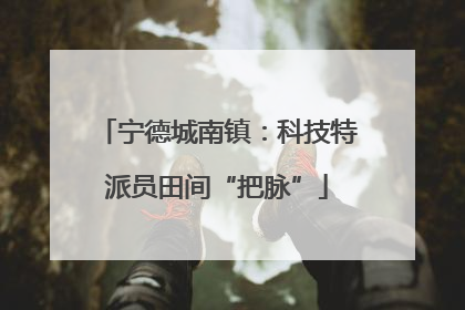 宁德城南镇：科技特派员田间“把脉”