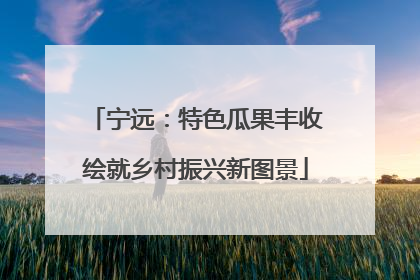 宁远：特色瓜果丰收绘就乡村振兴新图景