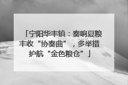 宁阳华丰镇：奏响夏粮丰收“协奏曲”，多举措护航“金色粮仓”