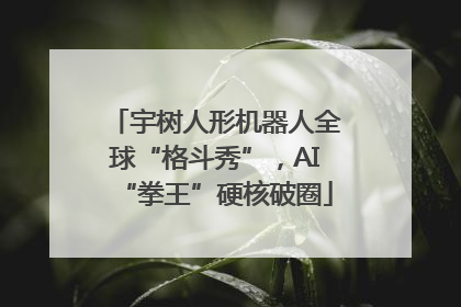 宇树人形机器人全球“格斗秀”，AI“拳王”硬核破圈