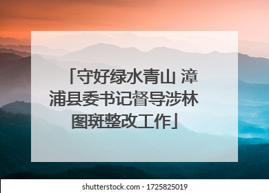 守好绿水青山 漳浦县委书记督导涉林图斑整改工作