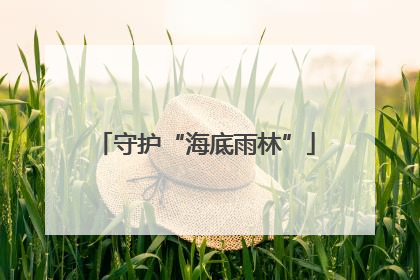 守护“海底雨林”