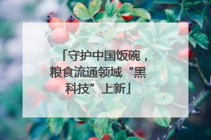 守护中国饭碗，粮食流通领域“黑科技”上新