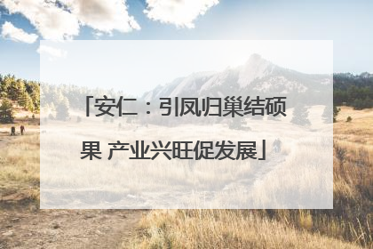 安仁：引凤归巢结硕果 产业兴旺促发展