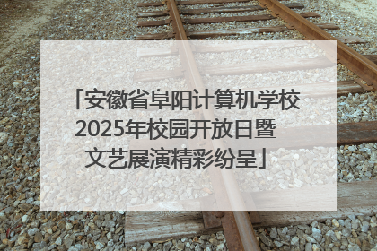 安徽省阜阳计算机学校2025年校园开放日暨文艺展演精彩纷呈