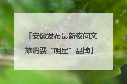 安徽发布最新夜间文旅消费“明星”品牌