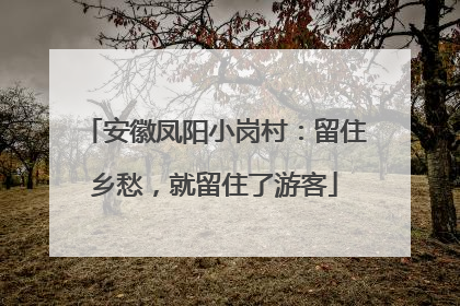 安徽凤阳小岗村：留住乡愁，就留住了游客