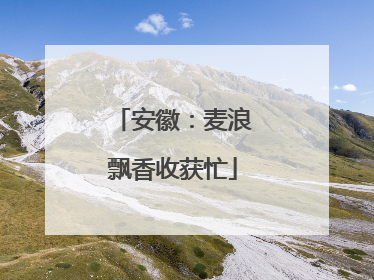 安徽：麦浪飘香收获忙