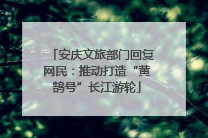 安庆文旅部门回复网民：推动打造“黄鹄号”长江游轮