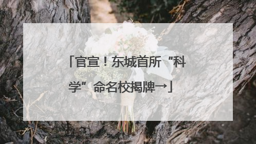 官宣！东城首所“科学”命名校揭牌→