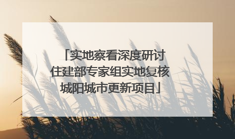 实地察看深度研讨 住建部专家组实地复核城阳城市更新项目
