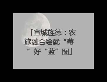 宣城旌德：农旅融合绘就“莓”好“蓝”图