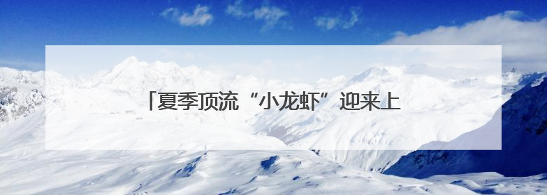 夏季顶流“小龙虾”迎来上市旺季，记者走访一线市场，不到一杯奶茶钱就能买斤虾