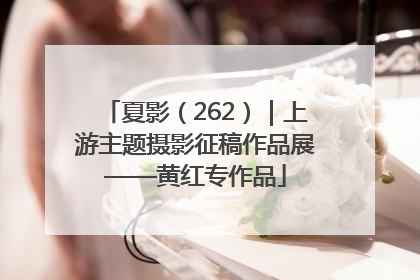 夏影（262）｜上游主题摄影征稿作品展——黄红专作品