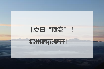 夏日“顶流”！福州荷花盛开