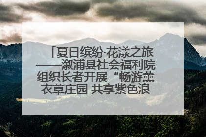 夏日缤纷·花漾之旅——溆浦县社会福利院组织长者开展“畅游薰衣草庄园 共享紫色浪漫”户外活动