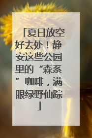 夏日放空好去处！静安这些公园里的“森系”咖啡，满眼绿野仙踪