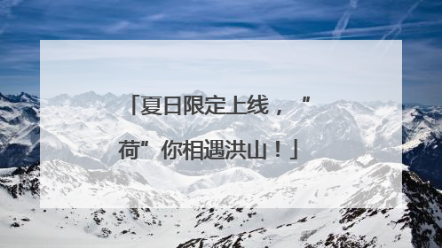 夏日限定上线，“荷”你相遇洪山！