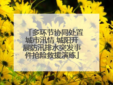 多环节协同处置城市汛情 城阳开展防汛排水突发事件抢险救援演练