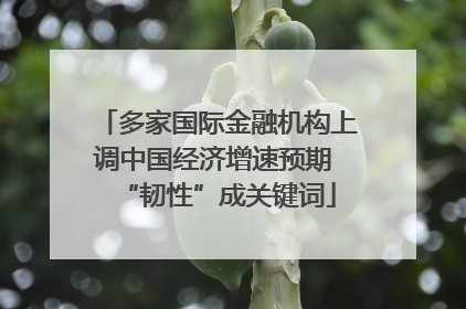 多家国际金融机构上调中国经济增速预期 “韧性”成关键词