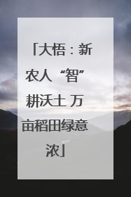 大悟：新农人“智”耕沃土 万亩稻田绿意浓