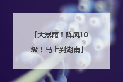 大暴雨！阵风10级！马上到湖南