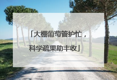 大棚葡萄管护忙，科学疏果助丰收
