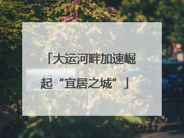 大运河畔加速崛起“宜居之城”
