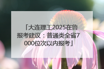大连理工2025在鲁报考建议：普通类全省7000位次以内报考