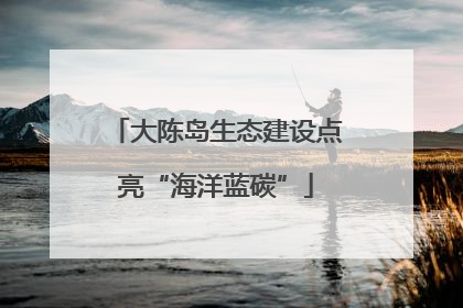 大陈岛生态建设点亮“海洋蓝碳”