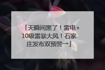 天瞬间黑了！雷电+10级雷暴大风！石家庄发布双预警→