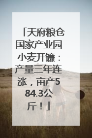 天府粮仓国家产业园小麦开镰：产量三年连涨，亩产584.3公斤！