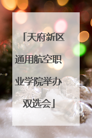 天府新区通用航空职业学院举办双选会