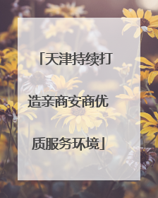 天津持续打造亲商安商优质服务环境
