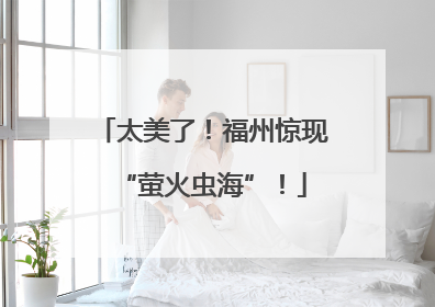 太美了！福州惊现“萤火虫海”！