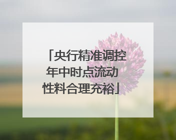 央行精准调控 年中时点流动性料合理充裕