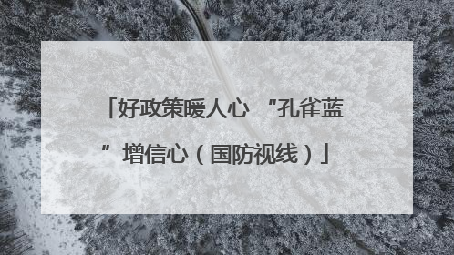 好政策暖人心 “孔雀蓝”增信心（国防视线）