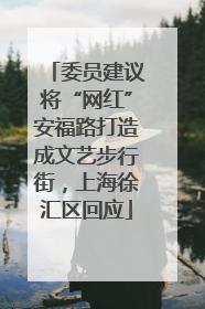 委员建议将“网红”安福路打造成文艺步行街，上海徐汇区回应