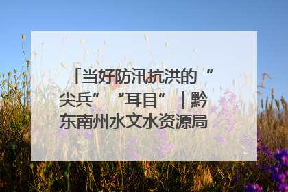 当好防汛抗洪的“尖兵”“耳目”｜黔东南州水文水资源局全员出动为此轮强降雨做好测报工作